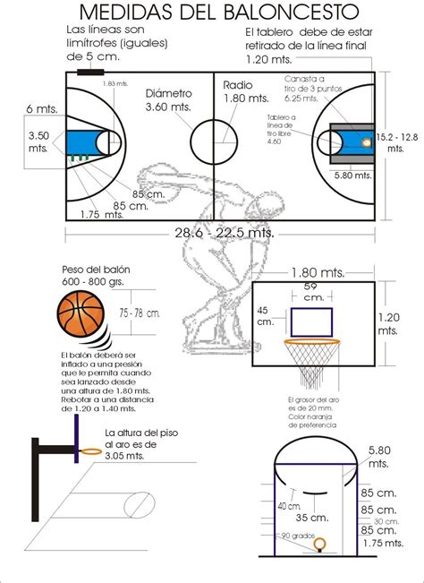 medidas del balon de basquetbol.